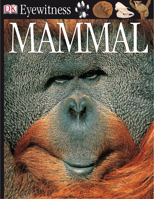 mammal-2004