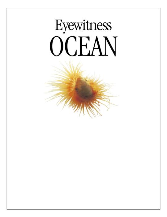 ocean-2008