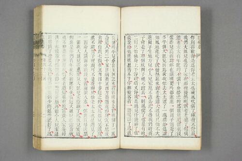 新评绣像红楼梦全传.曹雪芹.王希廉等評.道光版-10