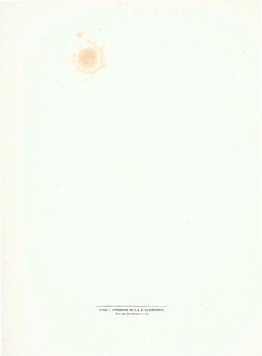 botanical illustration of pierre.joseph redoute.皮埃尔.约瑟夫·雷杜德的植物图谱