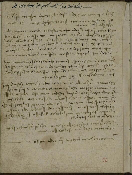 鸟类飞行手稿.codice sul volo degli uccelli.达芬奇著.by leonardo da vinci.1505-1506年.都灵皇家图书馆藏