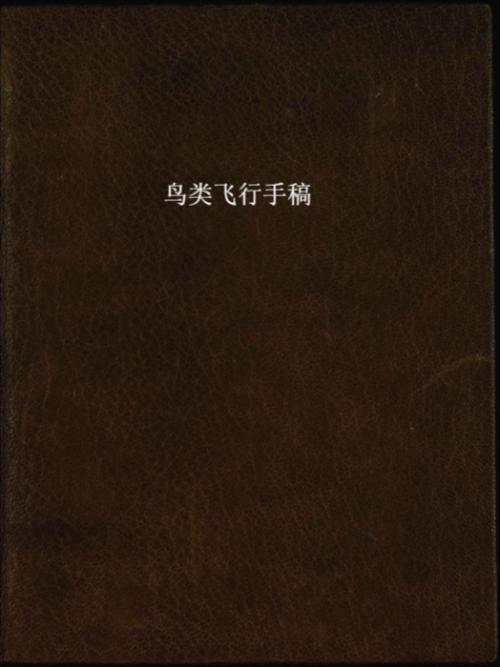 鸟类飞行手稿.codice sul volo degli uccelli.达芬奇著.by leonardo da vinci.1505-1506年.都灵皇家图书馆藏 鸟类飞行手稿.codice sul volo degli uccelli.达芬奇著.by leonardo da vinci.1505-1506年.都灵皇家图书馆藏