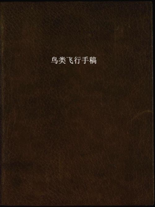 鸟类飞行手稿.codice sul volo degli uccelli.达芬奇著.by leonardo da vinci.1505-1506年.都灵皇家图书馆藏