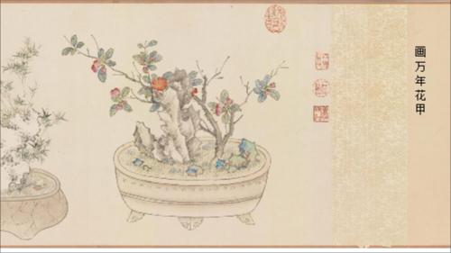 画万年花甲
