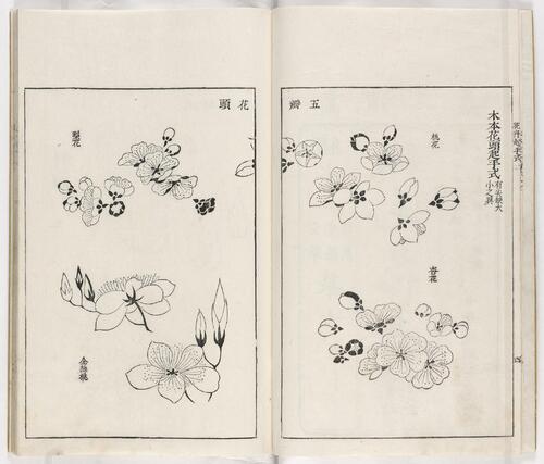 页面提取自－芥子园画传.三集.六卷.清.王槩等辑摹.日本宽延元年河南四郎右衛門彩色套印本.1748年-2