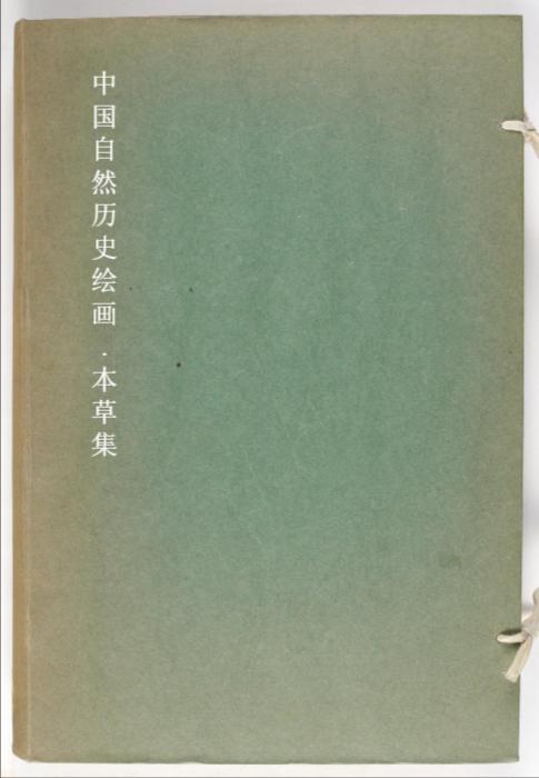 plantes de la chine.3卷.中国自然历史绘画.本草集.19世纪