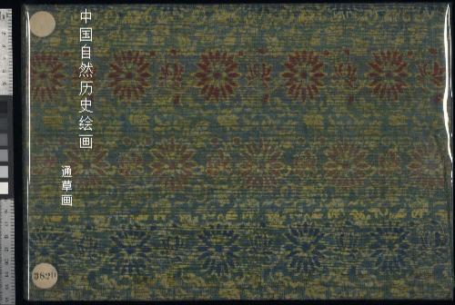 中国自然历史绘画.通草画.三册.三十六幅.十八世纪