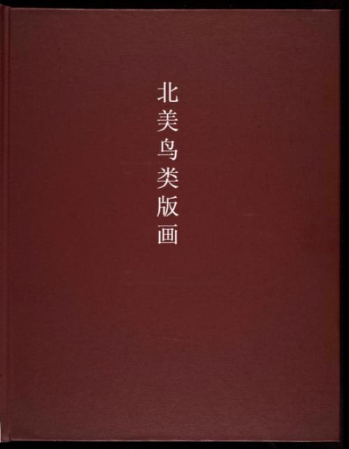 北美鸟类版画.the birds of north america.studer jacob henry.1903年 1 北美鸟类版画.the birds of north america.studer jacob henry.1903年 1