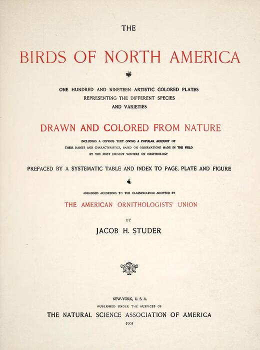北美鸟类版画.the birds of north america.studer jacob henry.1903年 6