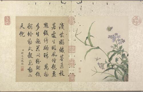 花卉虫草册.二十四帧.清蒋廷锡绘.故宫博物院藏本