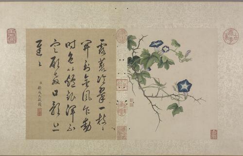 花卉虫草册.二十四帧.清蒋廷锡绘.故宫博物院藏本