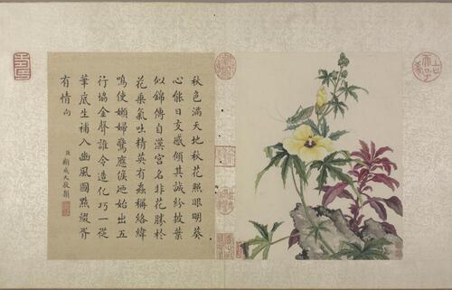 花卉虫草册.二十四帧.清蒋廷锡绘.故宫博物院藏本