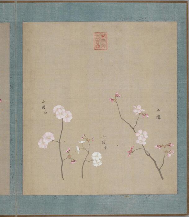 花谱.六册.樱井绚绘.1803-1804年 6