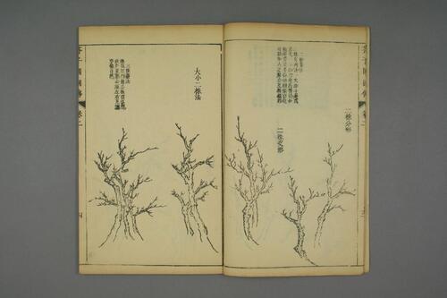 页面提取自－芥子园画传.初.2-4集.王安节等编-2
