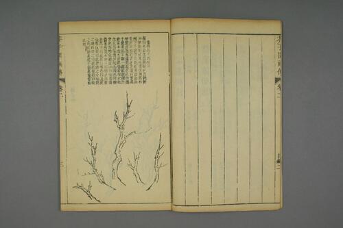 页面提取自－芥子园画传.初.2-4集.王安节等编-2
