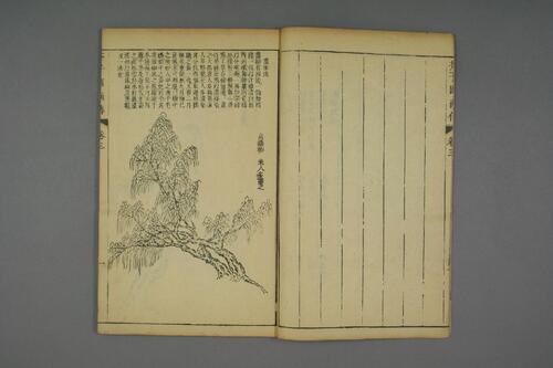 页面提取自－芥子园画传.初.2-4集.王安节等编-3