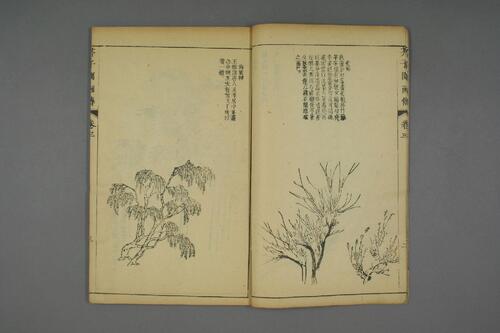 页面提取自－芥子园画传.初.2-4集.王安节等编-3