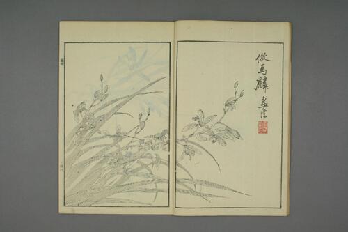 页面提取自－芥子园画传.初.2-4集.王安节等编-11