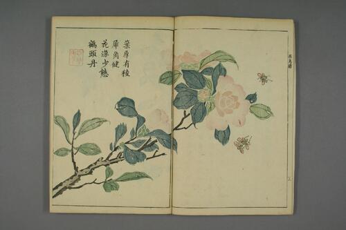 页面提取自－芥子园画传.初.2-4集.王安节等编-18