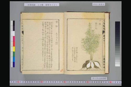 页面提取自－本草図譜.岩崎常正著-4
