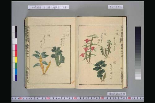 页面提取自－本草図譜.岩崎常正著-5