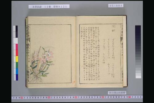 页面提取自－本草図譜.岩崎常正著-5