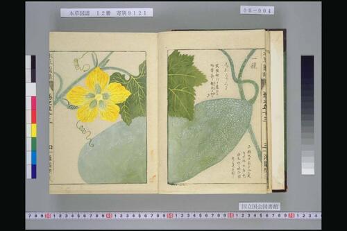页面提取自－本草図譜.岩崎常正著-8
