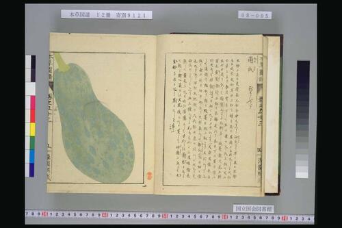 页面提取自－本草図譜.岩崎常正著-8