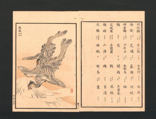 梅岭百鸟画谱续编.天地人.幸野梅岭画.1881年