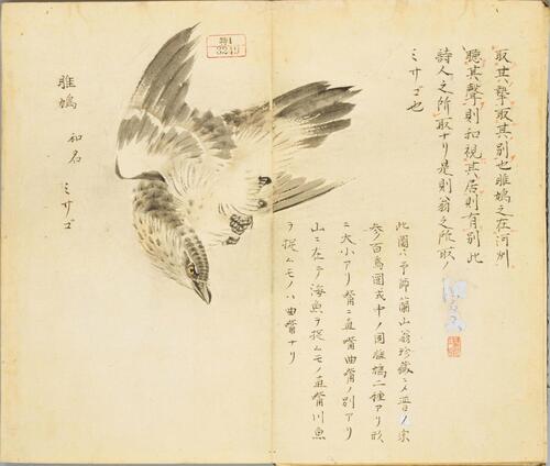 页面提取自－诗经名物图解.高清.十贴.細井徇撰绘.弘化4年自序-4