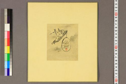 洋学者小色紙