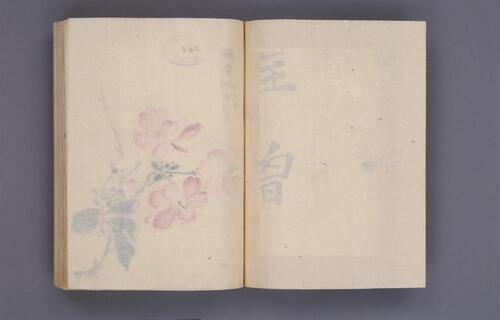 樱华八十图.桜華八十図.超高清版本.5699x3624像素