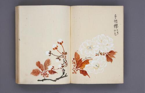 樱华八十图.桜華八十図.超高清版本.5699x3624像素