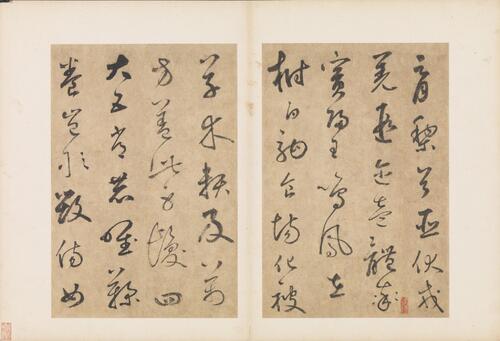 书千文册.三十七开.元.边武.草书.台北故宫博物院藏.元至正元年本