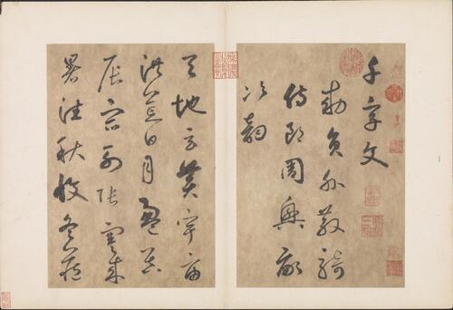 书千文册.三十七开.元.边武.草书.台北故宫博物院藏.元至正元年本
