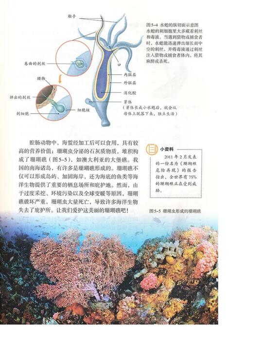 人教版生物八年级上册