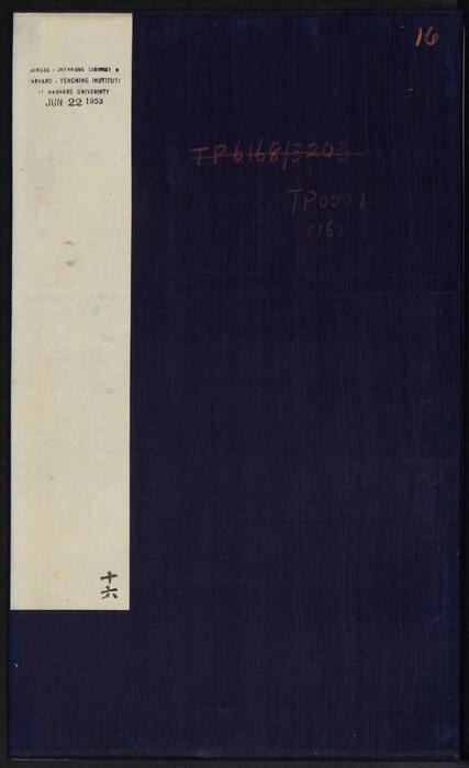 16