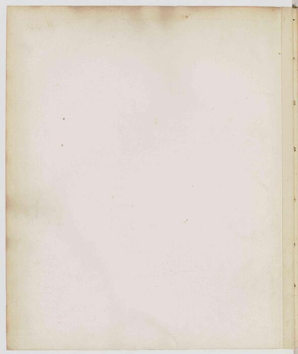 盆景花鸟图册.fleurs.oiseaux et insectes.两卷.外销画.约十八世纪 6