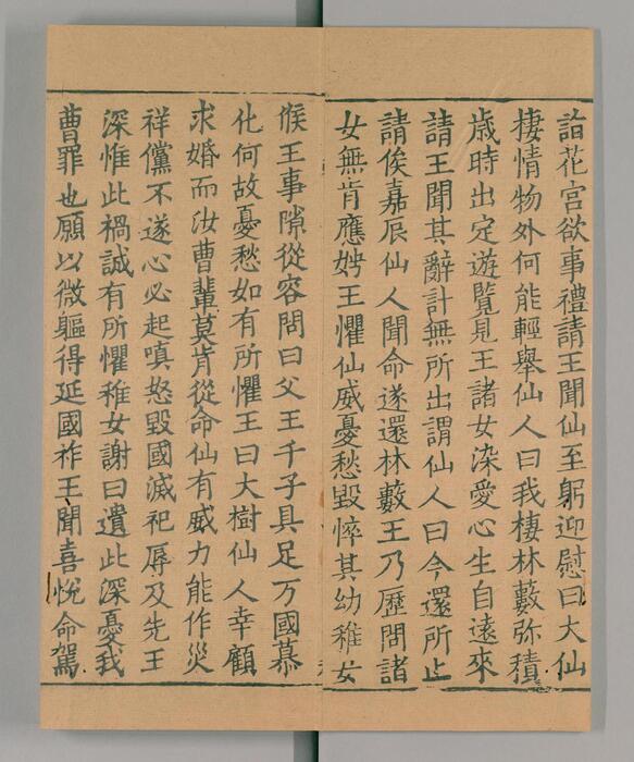 页面提取自－大唐西域记.唐玄奘述.辩机撰.存8卷.日本国立国会图书馆藏.南宋绍兴2年湖州思溪圆觉禅院刊本.1132年-5