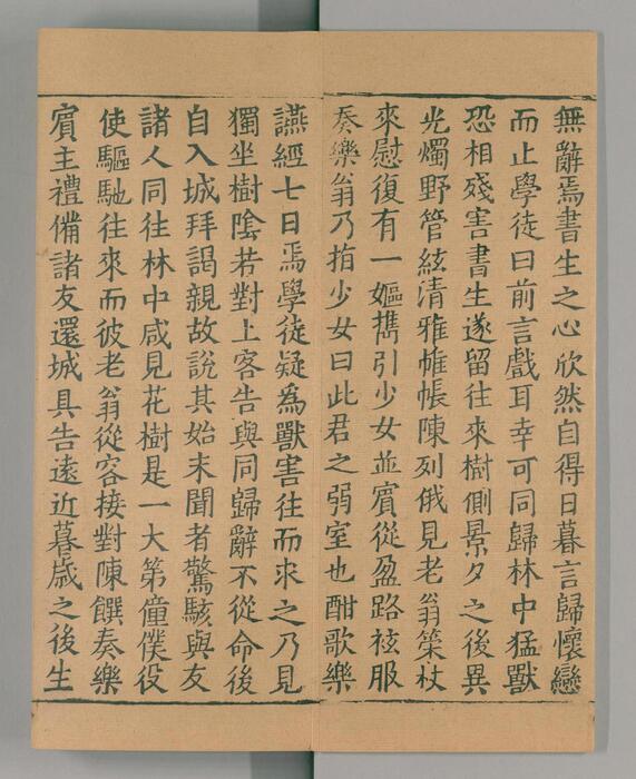 页面提取自－大唐西域记.唐玄奘述.辩机撰.存8卷.日本国立国会图书馆藏.南宋绍兴2年湖州思溪圆觉禅院刊本.1132年-8