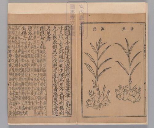 页面提取自－新编类要图注本草.四十二卷.目1卷.上5卷.宋唐慎微.寇宗奭撰.宋末元初建安余彦国励贤堂刊本-8