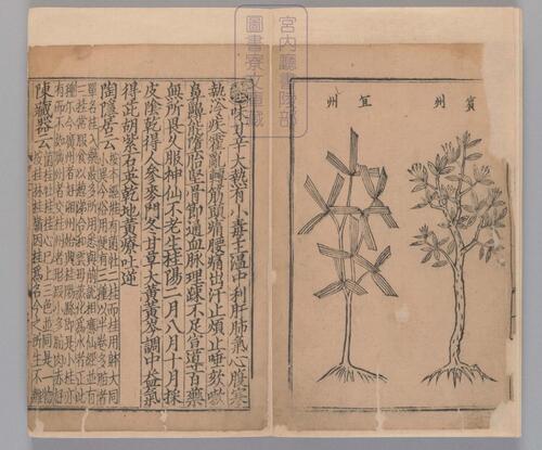 页面提取自－新编类要图注本草.四十二卷.目1卷.上5卷.宋唐慎微.寇宗奭撰.宋末元初建安余彦国励贤堂刊本-12