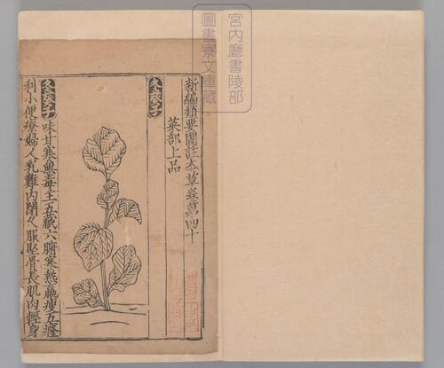 页面提取自－新编类要图注本草.四十二卷.目1卷.上5卷.宋唐慎微.寇宗奭撰.宋末元初建安余彦国励贤堂刊本-20