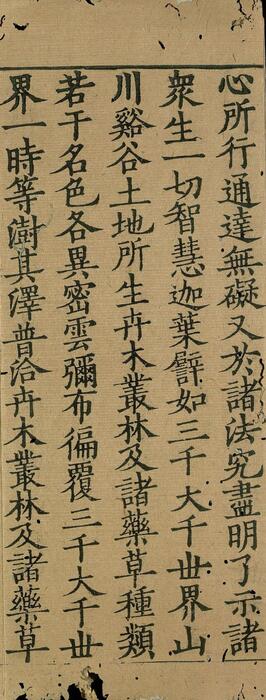 页面提取自－妙法莲华经.七卷.鸠摩罗什译.经折装.中国国家图书馆藏.思溪藏.南宋刻本-3