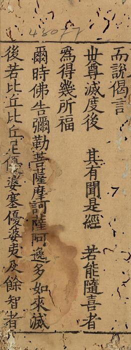 页面提取自－妙法莲华经.七卷.鸠摩罗什译.经折装.中国国家图书馆藏.思溪藏.南宋刻本-6