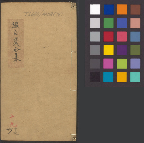 19 19