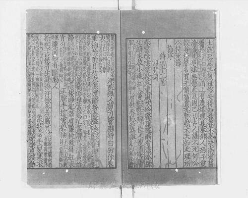 页面提取自－s117宋版.集部.王状元集诸家注分类东坡先生诗.25卷.首目2卷.纪年录1卷.宋.苏轼撰.王十朋编.南宋建安万卷堂刊.元修.28册-8