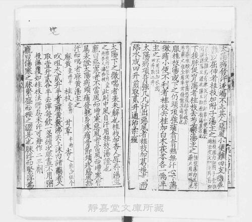 页面提取自－s064宋版.子部.伤寒总病论.6卷.附音训1卷.修治药法1卷.宋.庞安时撰.南宋刊.抄补.4册-2