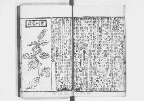 页面提取自－s205元版.子部.经史证类大观本草.31卷.首目1卷.宋.唐慎微撰.曹孝忠校.元大德6年宗文书院刊.明修.带图本.24册-12