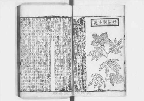 页面提取自－s205元版.子部.经史证类大观本草.31卷.首目1卷.宋.唐慎微撰.曹孝忠校.元大德6年宗文书院刊.明修.带图本.24册-12
